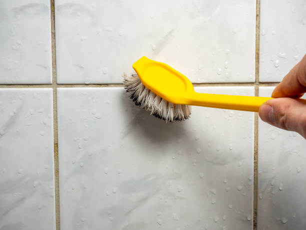 Best Fast Mold Removal  in Flowery Branch, GA