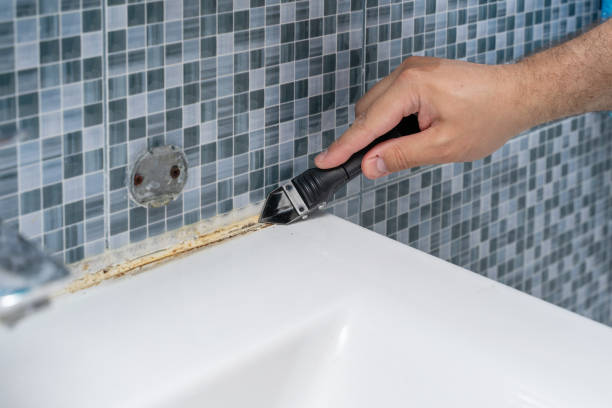 Best Certified Mold Removal  in Flowery Branch, GA